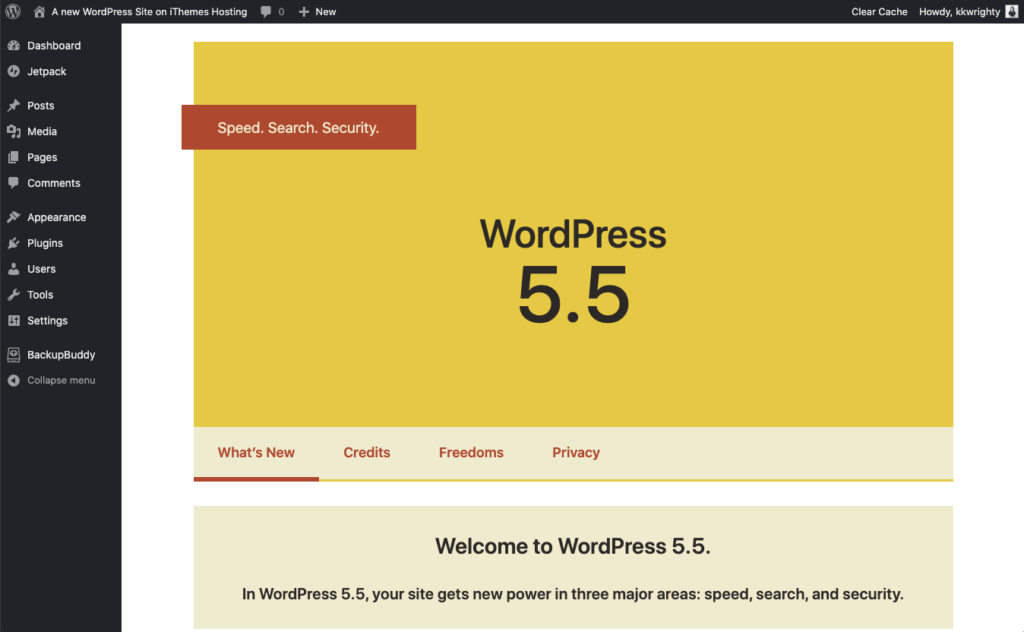WordPress 5.5 update highlights